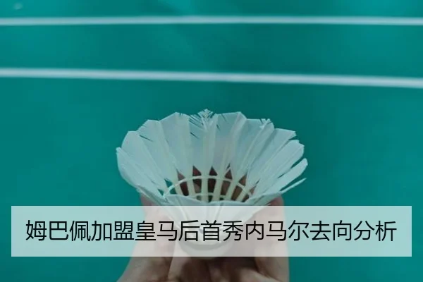 mu-ba-pei-jia-meng-huang-ma-hou-shou-xiu-nei-ma-er-qu-xiang-fen-xi-2-184.jpg
