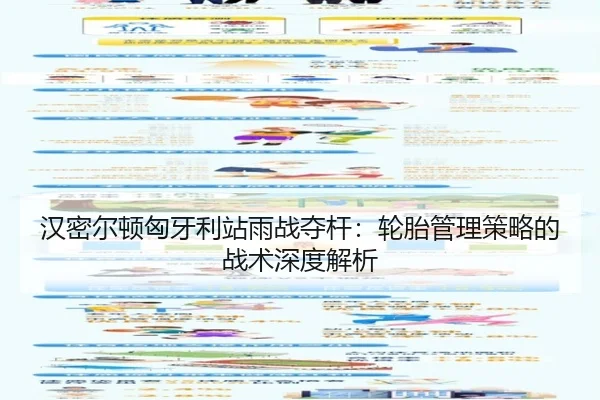 han-mi-er-dun-xiong-ya-li-zhan-yu-zhan-duo-gan-lun-tai-guan-li-ce-lve-de-zhan-shu-shen-du-jie-xi-2-929.jpg