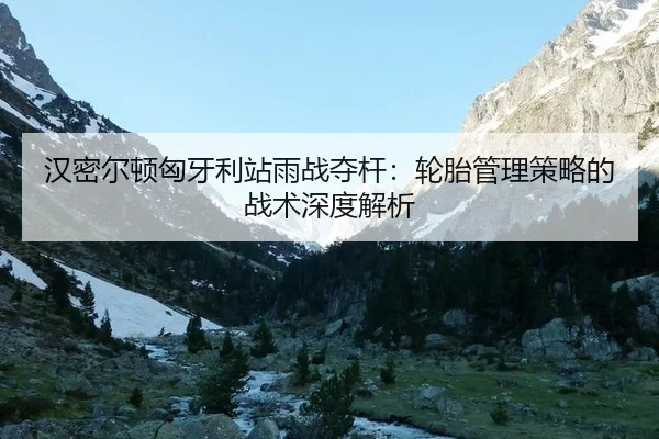 han-mi-er-dun-xiong-ya-li-zhan-yu-zhan-duo-gan-lun-tai-guan-li-ce-lve-de-zhan-shu-shen-du-jie-xi-1-690.jpg